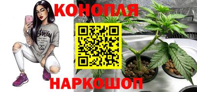 гидропоника Вязники