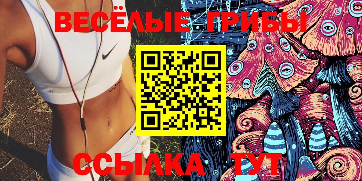 Галлюциногенные грибы GOLDEN TEACHER  Вход с VPN  Галлюциногенные грибы Psilocybe  Асино 